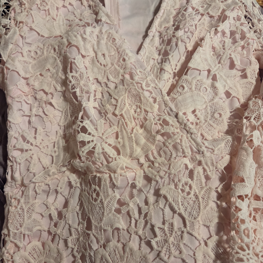 Elegant Lace Long Sleeve Dress in Blush